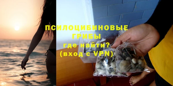 apvp Осташков