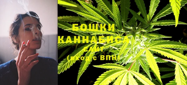 apvp Осташков