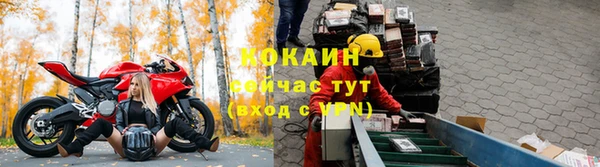прущие грибы Валуйки